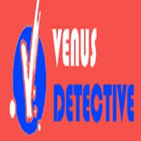 Venus Detective Agency image 1